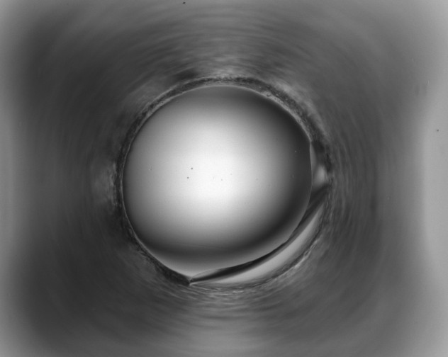 X0000088671265200706071452