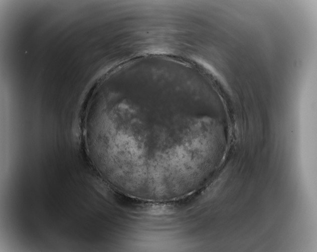 X0000088671266200706071452