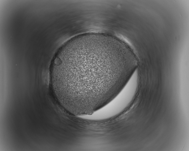X0000088671267200706071452