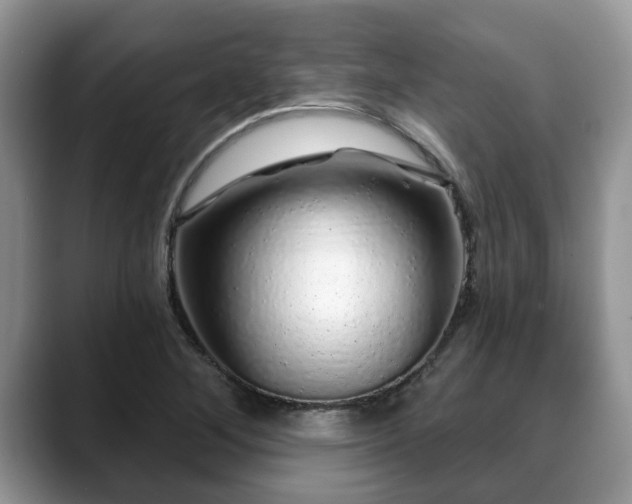 X0000088671268200706071452