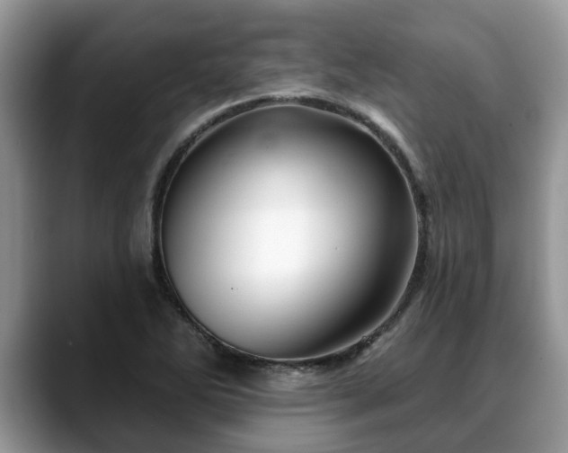X0000088671270200706071452
