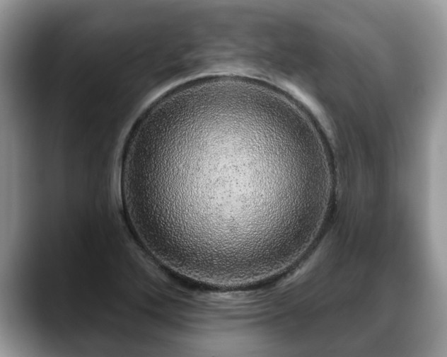 X0000088671272200706071452
