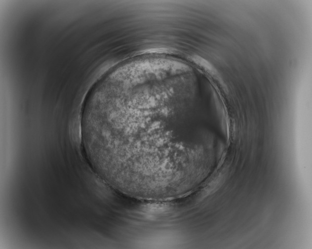 X0000088671274200706071452