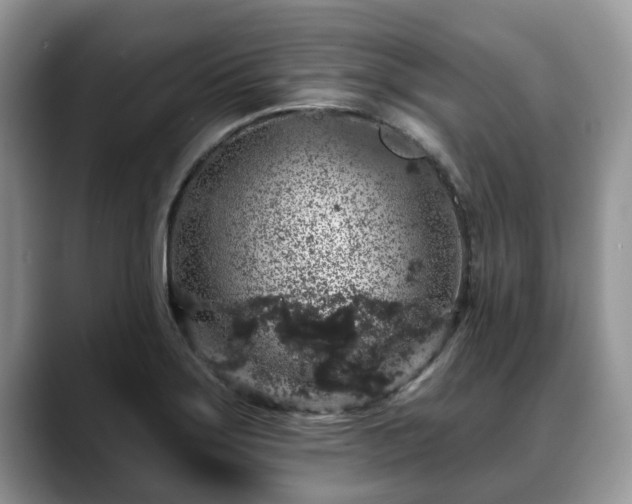 X0000088671275200706071452