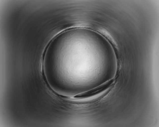 X0000088671276200706071452