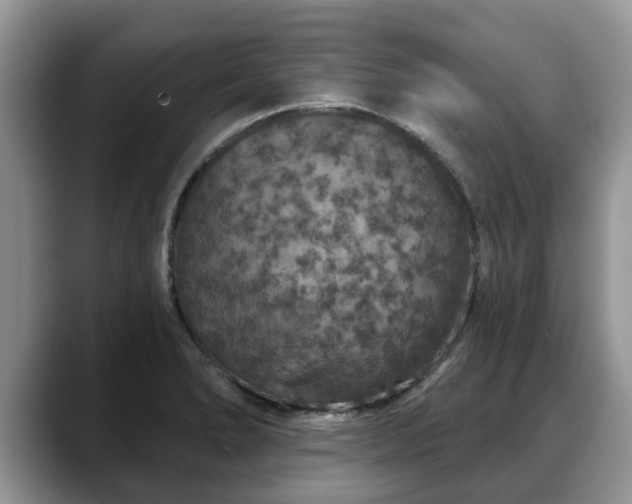 X0000088671278200706071452