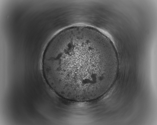 X0000088671279200706071452