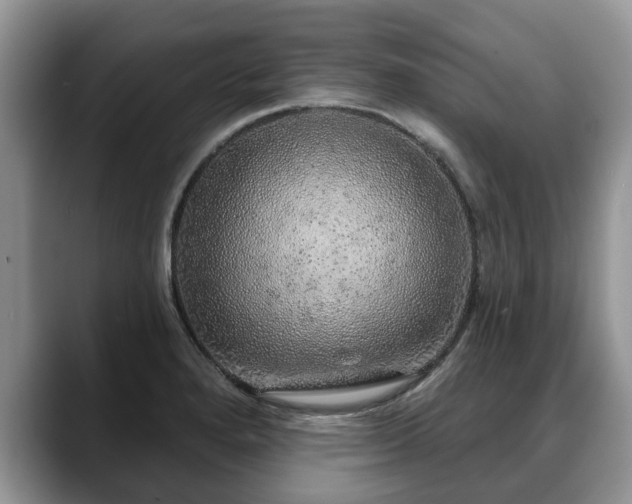 X0000088671280200706071452