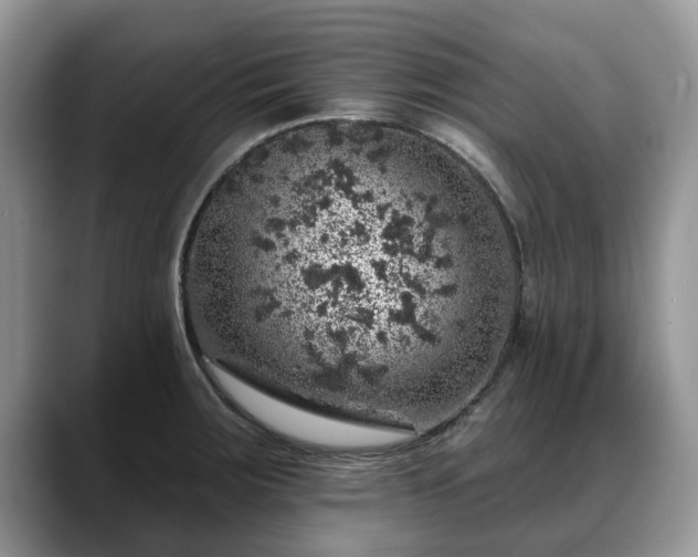 X0000088671283200706071452