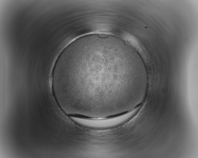 X0000088671284200706071452