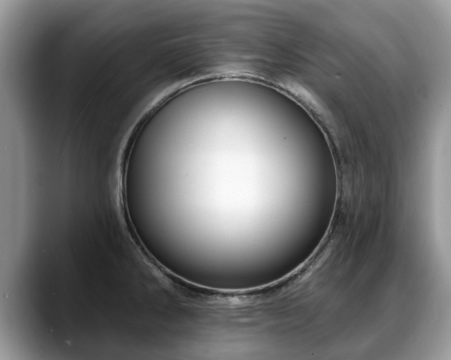 X0000088671286200706071452