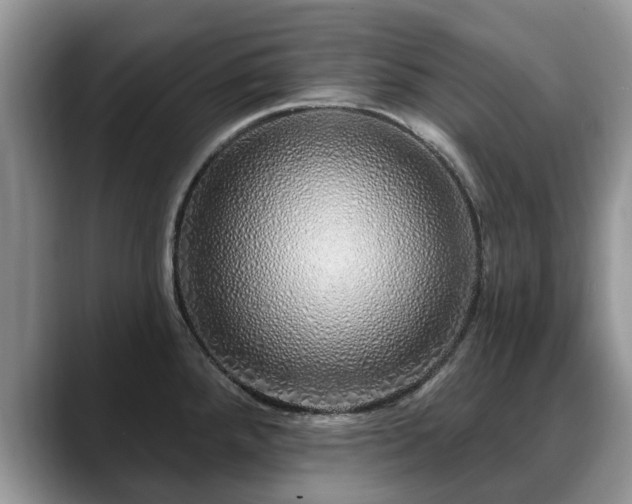 X0000088671288200706071452