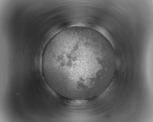 X0000088671290200706071452