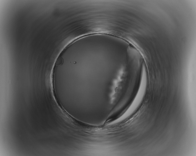 X0000088671291200706071452