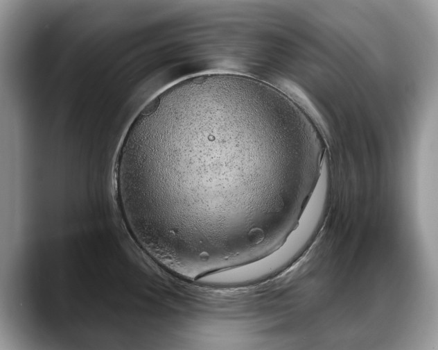 X0000088671292200706071452