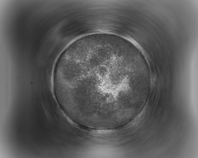 X0000088671294200706071452