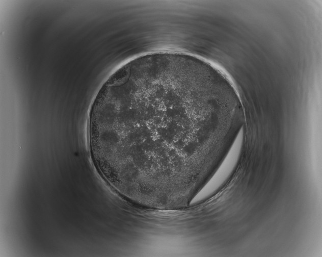 X0000088671295200706071452