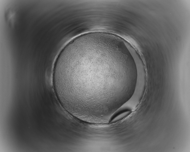 X0000088671296200706071452