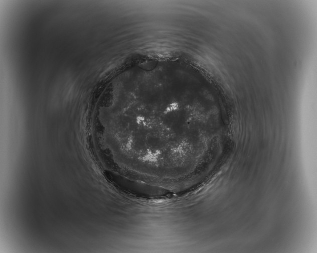 X0000088671297200706071451