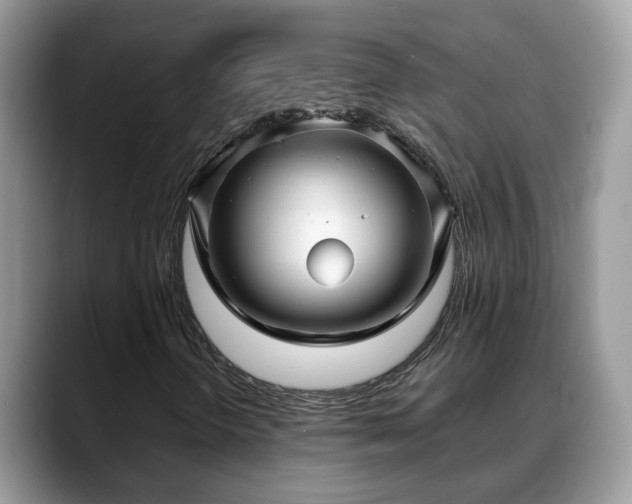 X0000088671298200706071451