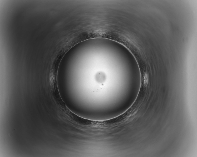 X0000088671299200706071451