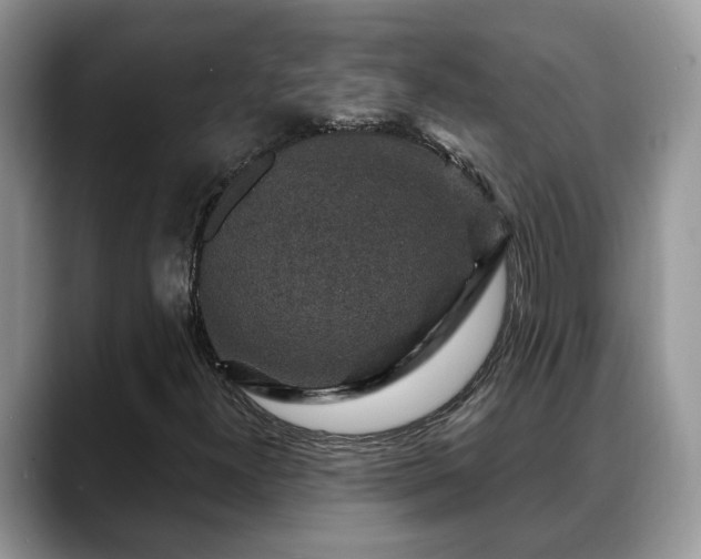 X0000088671300200706071451