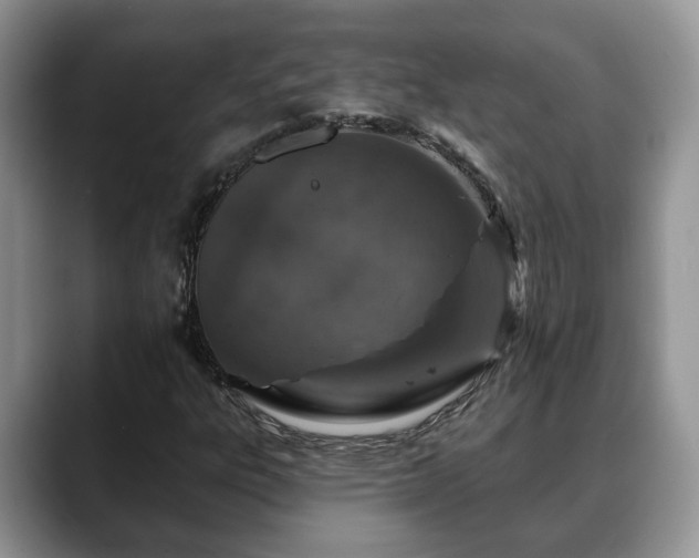 X0000088671303200706071451