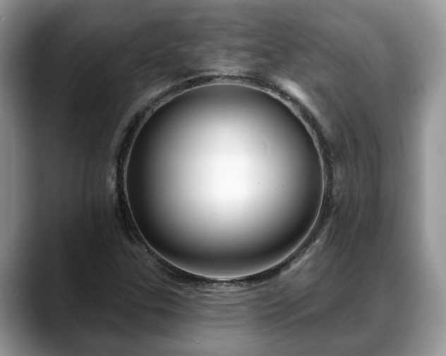 X0000088671307200706071451