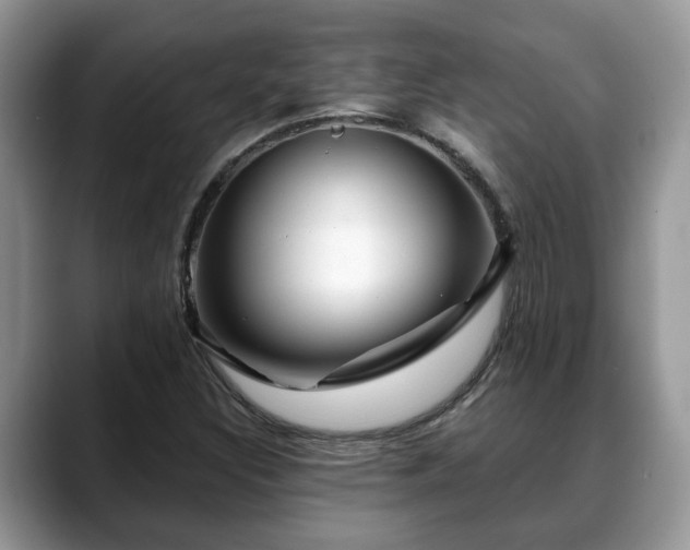 X0000088671308200706071451