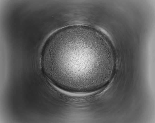 X0000088671310200706071451