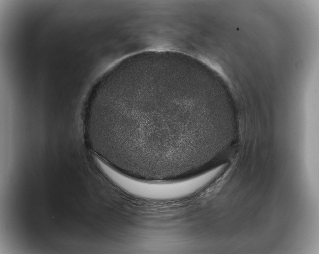 X0000088671311200706071451