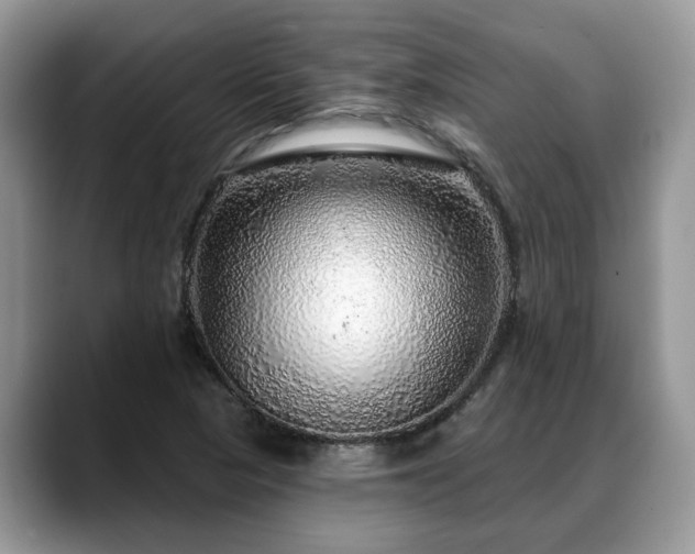 X0000088671313200706071452