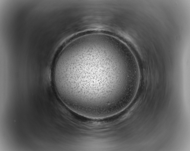 X0000088671318200706071452