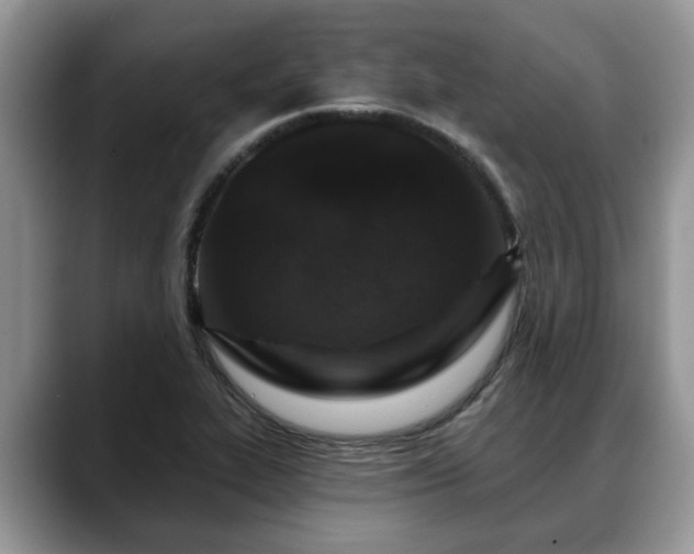 X0000088671319200706071452