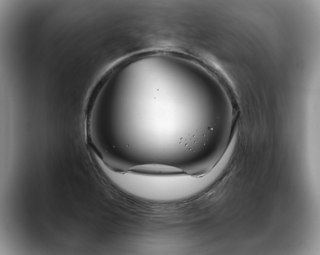 X0000088671320200706071452