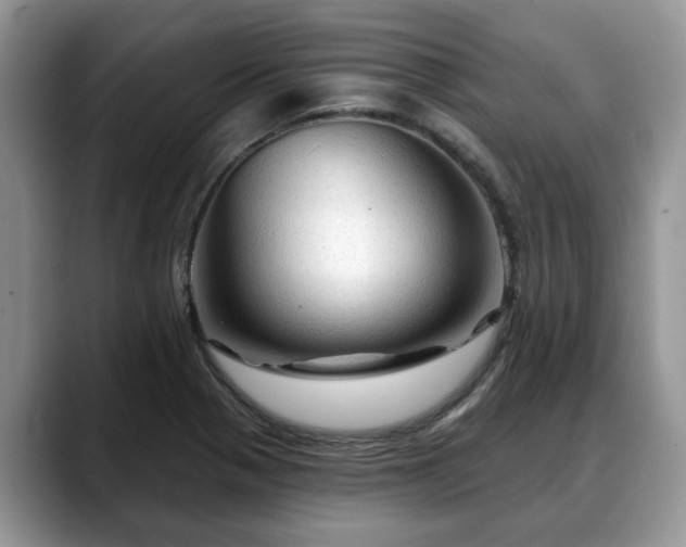 X0000088671321200706071452