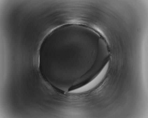 X0000088671323200706071452