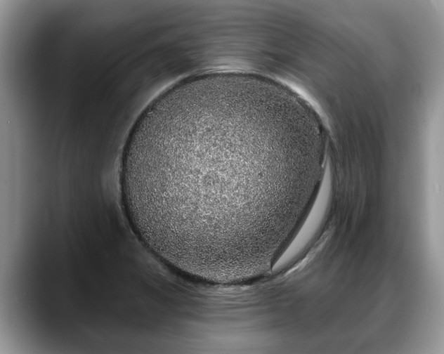 X0000088671325200706071452