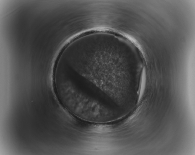 X0000088671327200706071452
