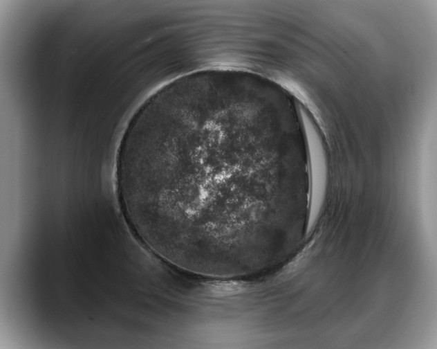 X0000088671331200706071452