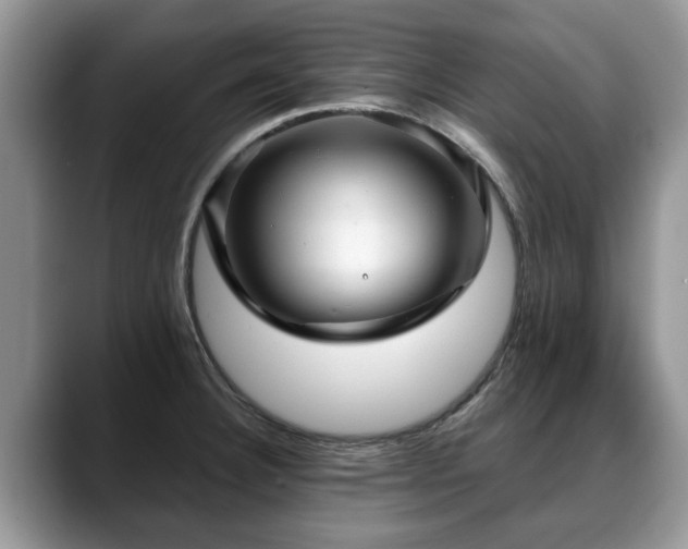 X0000088671332200706071452