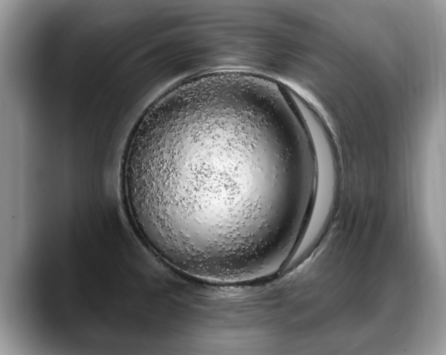 X0000088671333200706071452