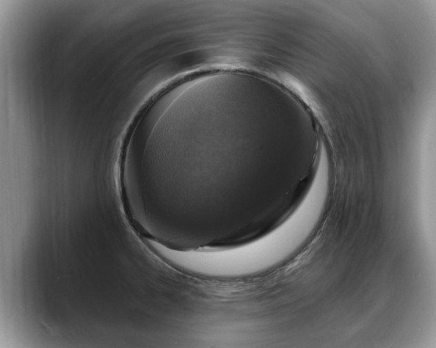 X0000088671334200706071452