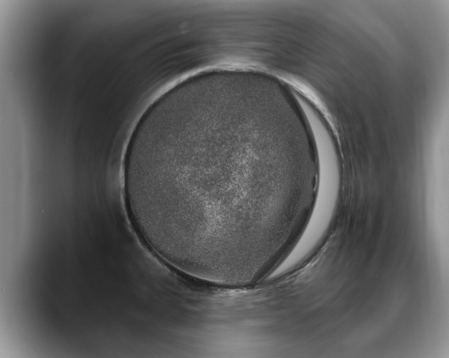 X0000088671335200706071452