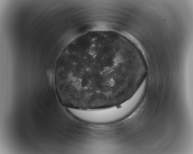 X0000088671337200706071452