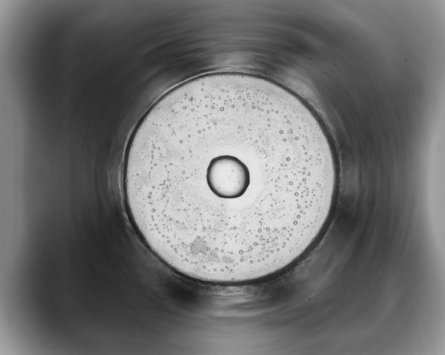 X0000088671338200706071452