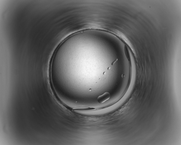 X0000088671339200706071452