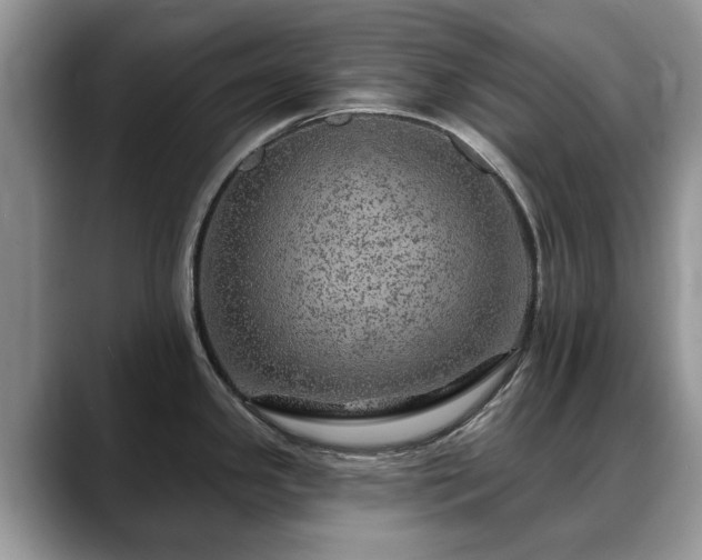 X0000088671341200706071452