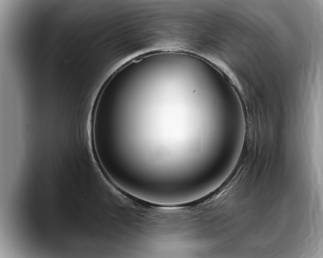 X0000088671343200706071452