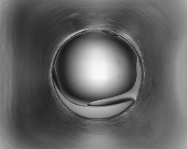 X0000088671344200706071452